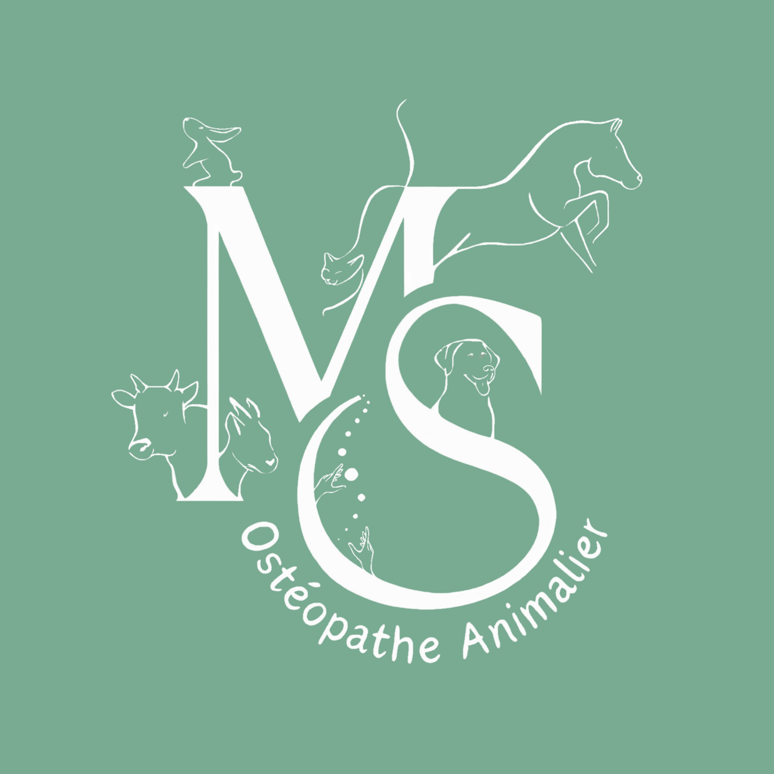 Mélodie Sordet Ostéopathe Animalier